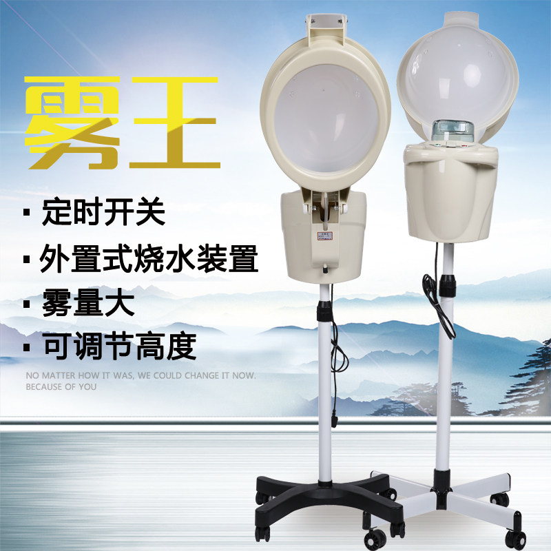 美发局油蒸汽机豪华雾霸局油机家用焗油机发廊用喷雾蒸汽机正品