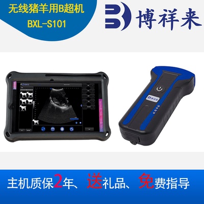 超防水动物测孕仪b超机牛用