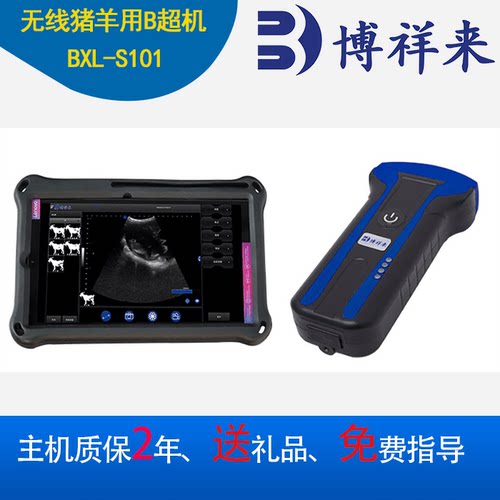 超防水动物测孕仪b超机牛用