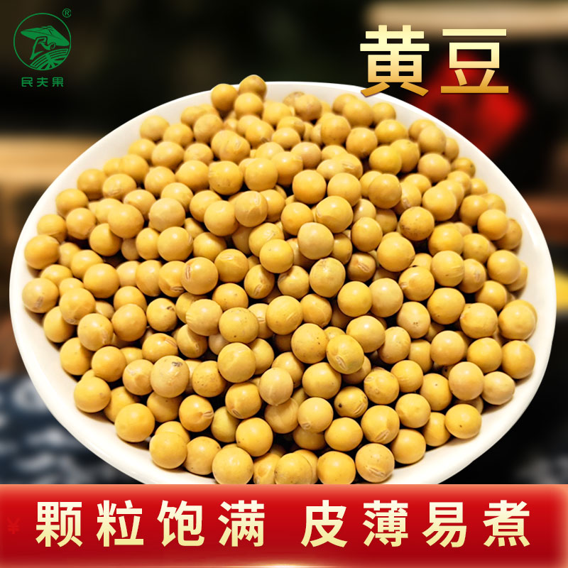 新黄豆东北非转基因大豆生豆芽打豆浆专用笨黄豆500g
