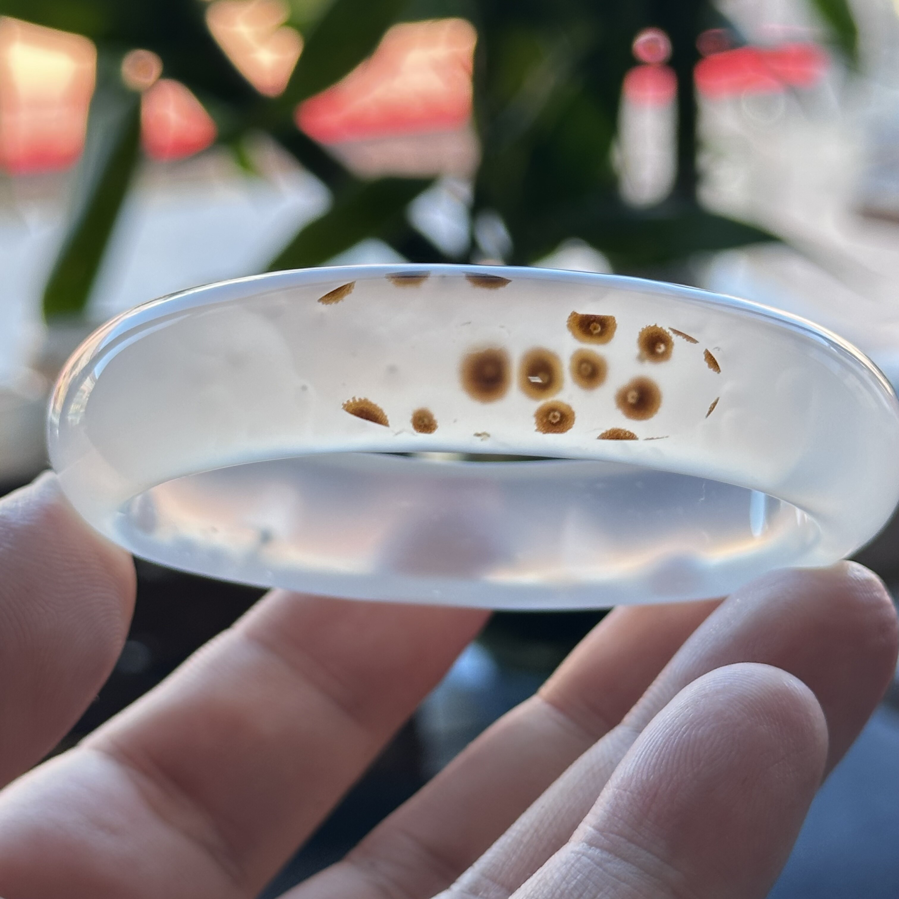 云臻阁天然海洋玉髓草花贵妃镯椭圆形北斗七星小花玛瑙手镯53口径