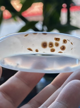 云臻阁天然海洋玉髓草花贵妃镯椭圆形北斗七星小花玛瑙手镯53口径