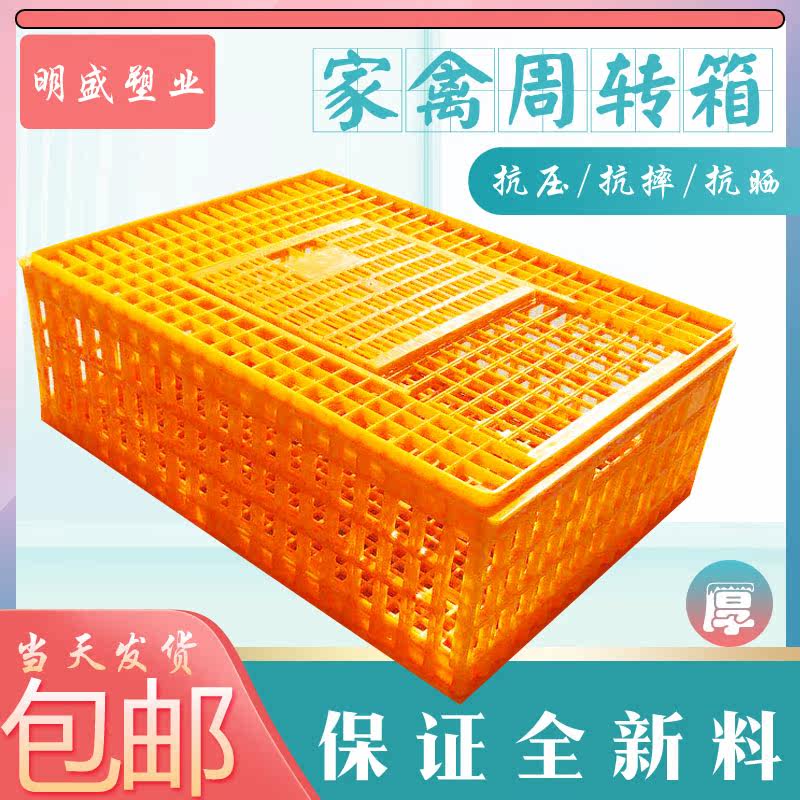 塑料运输周转家用鸡笼图片