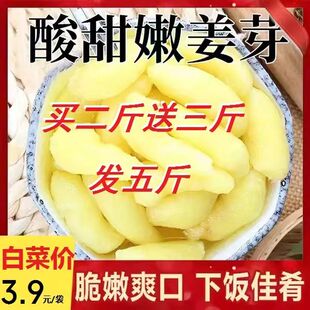 山东特产嫩姜芽酸甜糖醋味嫩姜仔姜片泡嫩姜下饭下酒菜 活动中