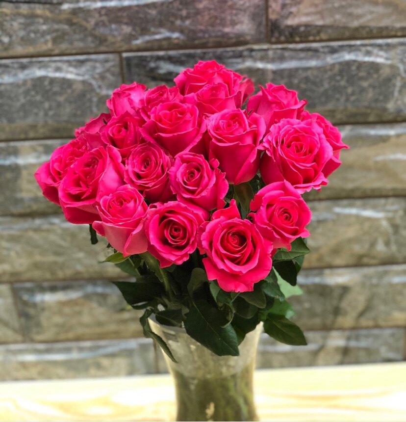 大桃红玫瑰鲜花大花苞红色单头昆明直发家庭办公室插花空运包邮