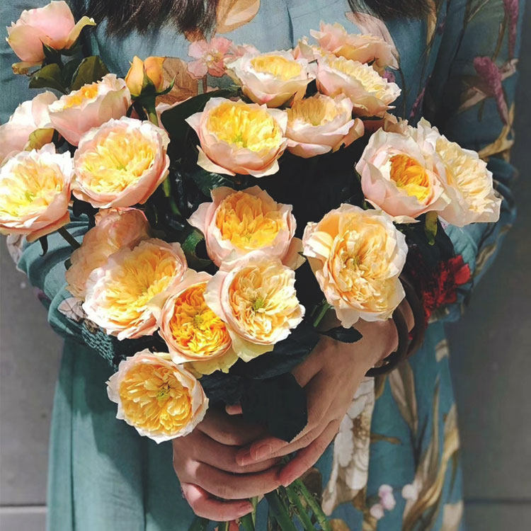 云南基地直发奥斯汀多头黄蝴蝶粉蝴蝶一扎家用花艺插花空运包邮