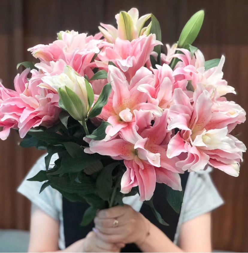 重瓣香水百合鲜花伊莎贝拉蜜糖水晶莲花冰美人云南昆明斗南基地