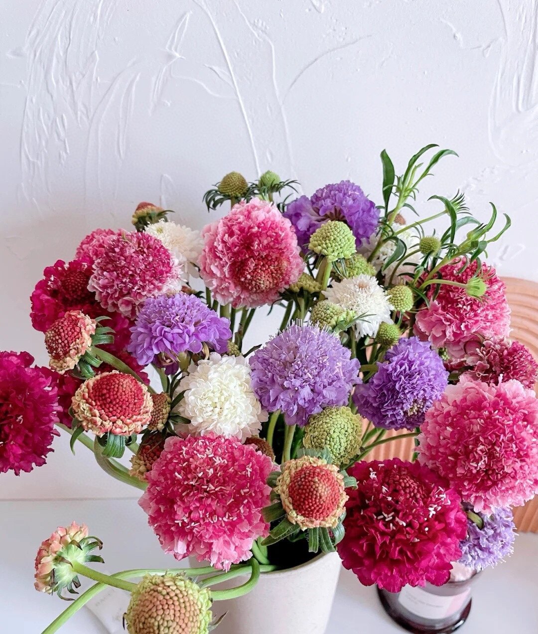 高品质松虫草蓝盆花鲜花气质线条型点缀高端配花家用水养插花配花