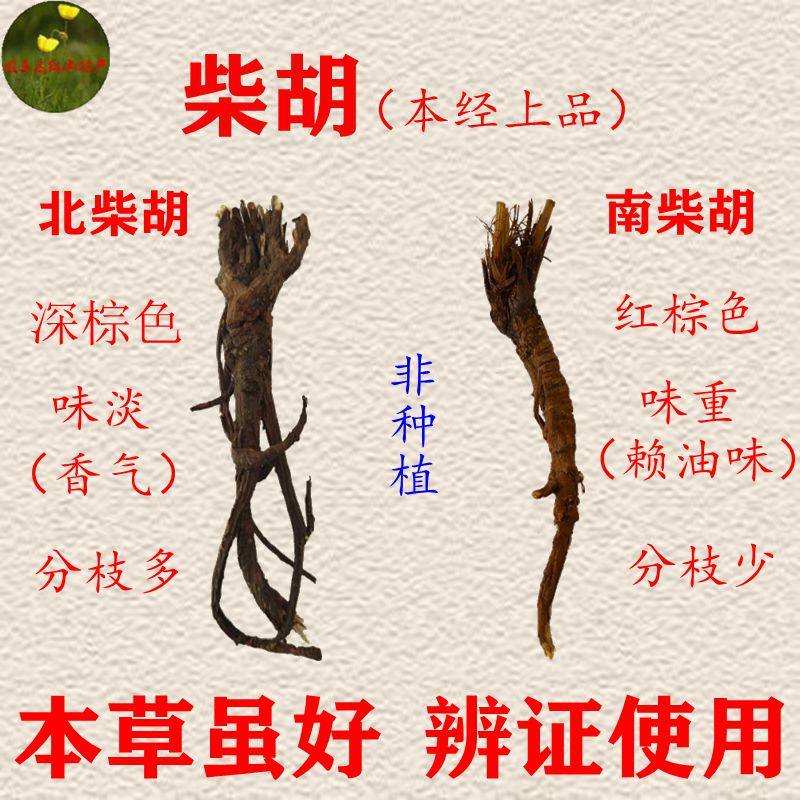 内蒙(热河)道地南北柴胡250克鼠尾红2份包邮