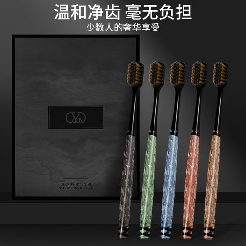 【5支礼盒装】GYN成人家用高档彩色水晶手柄手动清洁小头软毛牙刷