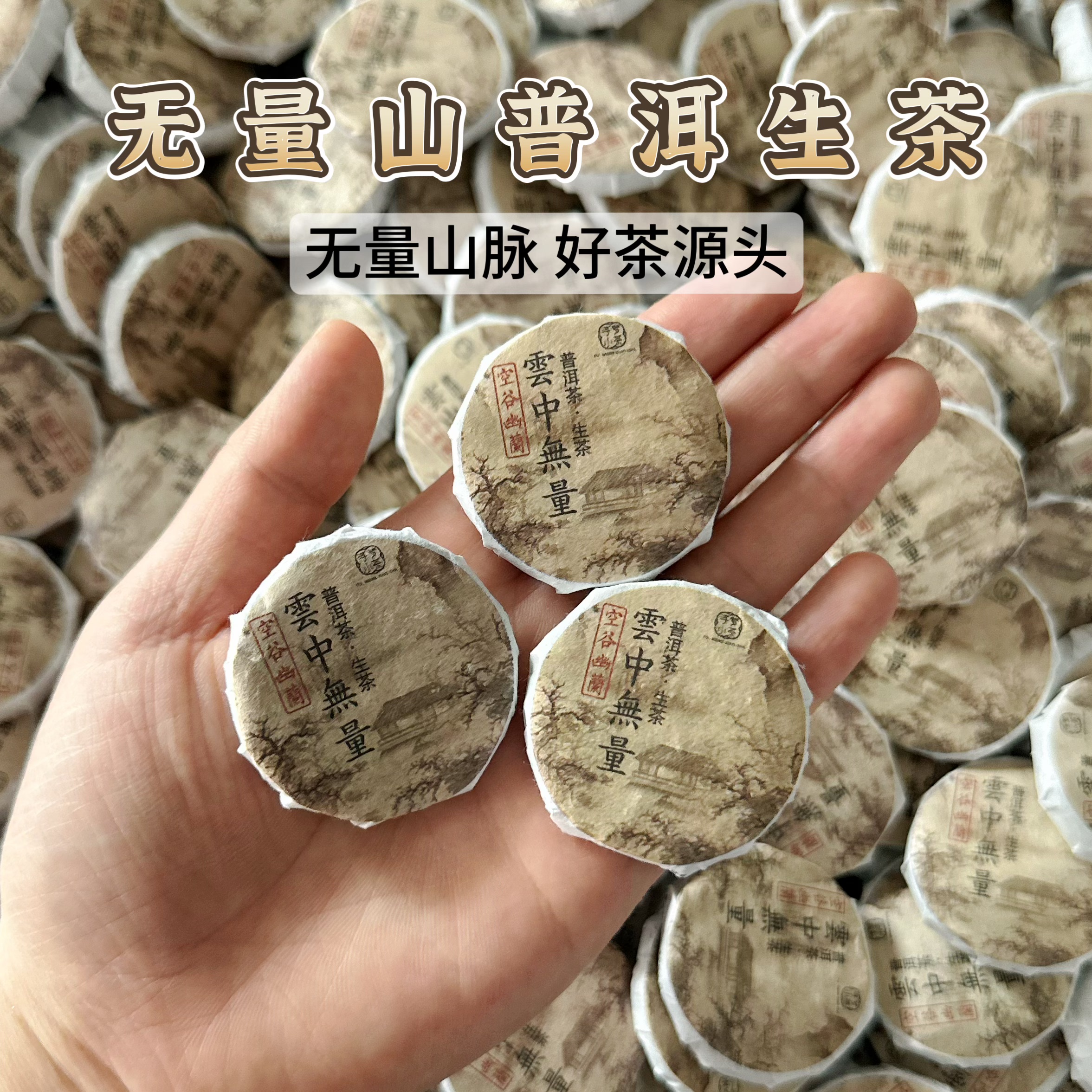 【预售】2025年春无量山普洱生茶小圆饼/散茶500克