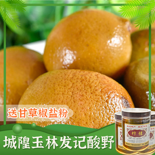 玉林城隍酸料发记柠檬480g*3瓶酸嘢非新鲜柠檬鸭配料广西特产酸野