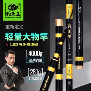 钓鱼王霸王悍配节二代鱼竿超轻超硬台钓竿黑坑鱼竿大物竿鲢竿