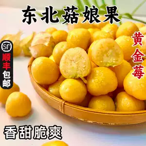 [黄金莓东北菇娘果当季灯笼果整箱黄姑娘新鲜水果现货甜菇凉粒粒甜]