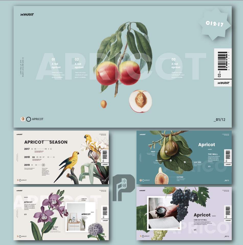 【踯躅】出了墙的杏才红复古插画植物水果PPT模板