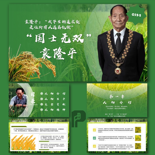 杂交水稻之父袁隆平人物故事介绍PPT模板