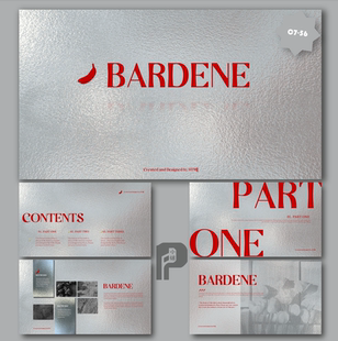 【玫瑰月影】极简银箔小众简约高级红银系树影婚礼旅拍PPT模板