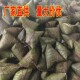 端午粽子豆沙粽蜜枣粽鲜肉粽蛋黄肉粽早餐粽子端午节粽子礼包