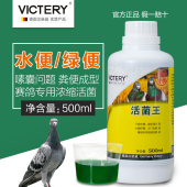 鸽用活菌王水绿便调理保健鸽药大全赛信鸽鹦鹉鸟类常备肠道非鸽药