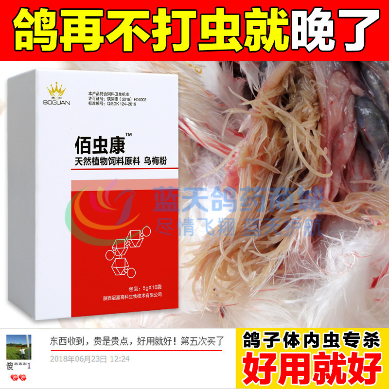 搏冠非鸽药佰虫康全虫清赛信鸽毛滴虫寄生虫蛔虫鸽子打虫鹦鹉驱虫
