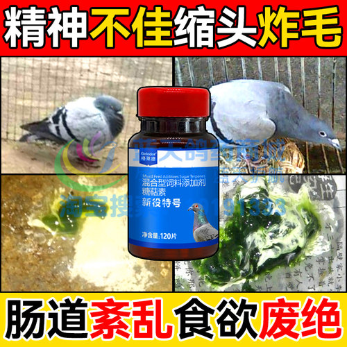 格莱德鸽药新役特号腺病毒肠炎