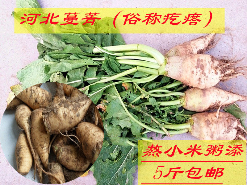 农家自种河北新鲜黄蔓菁芥菜疙瘩 蔬菜芜菁蛮茎大头菜5斤装包邮
