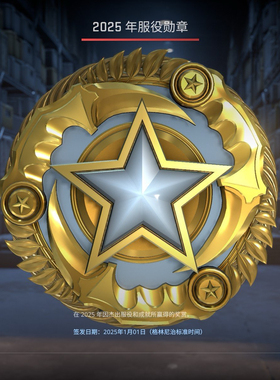 csgo服役勋章 cs2服役勋章  2025年服役勋章 cs2csgo等级代打经验