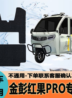 金彭红果PRO脚垫 金彭红果pro电动休闲三轮车专用脚垫JP1000DZK-2
