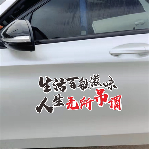 生活百般滋味人生无所吊谓车贴纸