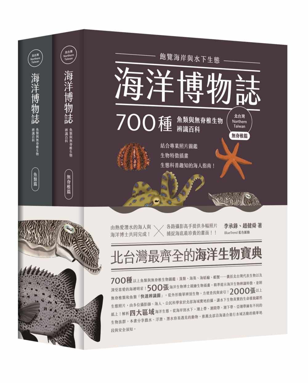 预售 李承录海洋博物志(两册合集):饱览海岸与水下生态!700种鱼类与无脊椎生物辨识百科麦浩斯 原版进口书 自然科普