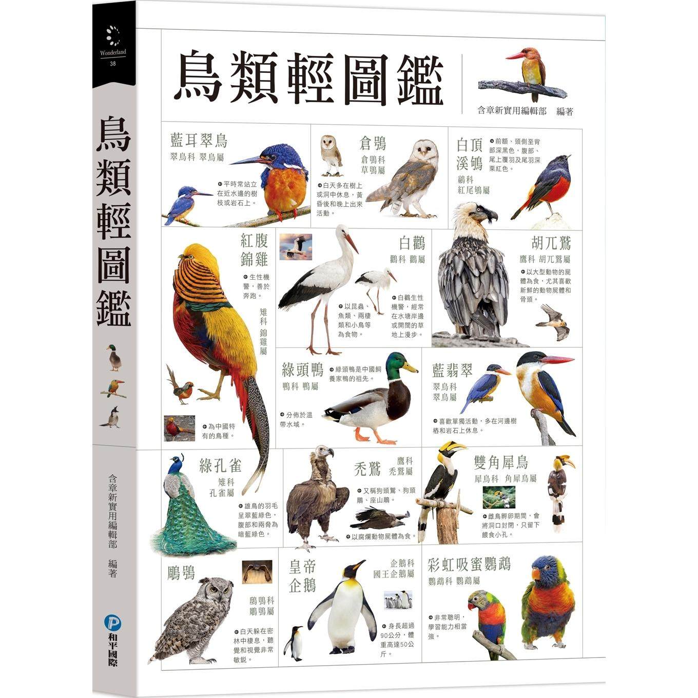 预售 鸟类轻图鉴 和平国际 含章新实用编辑部