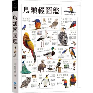 预售 鸟类轻图鉴 和平国际 含章新实用编辑部