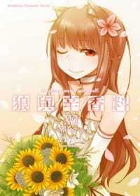 现货台版轻小说 支仓冻砂狼与辛香料 (17)  完 Epilogue中国台湾角川 【拓特原版】