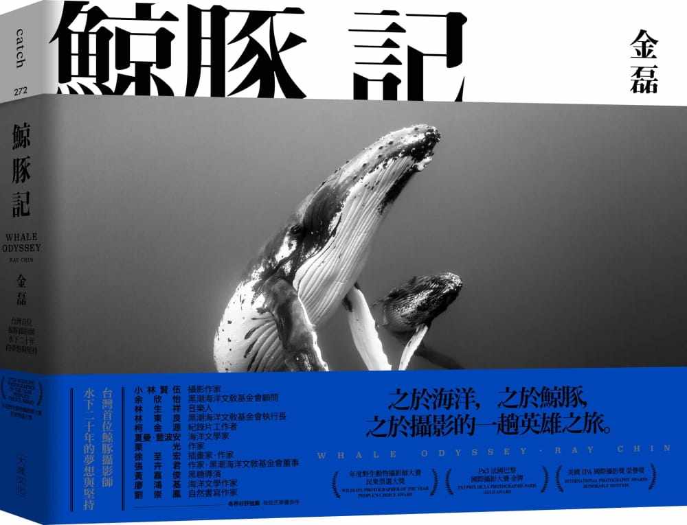 预售 金磊 鲸豚记：中国台湾首位鲸豚摄影师水下20年的梦想与坚持 大块文化 原版进口书