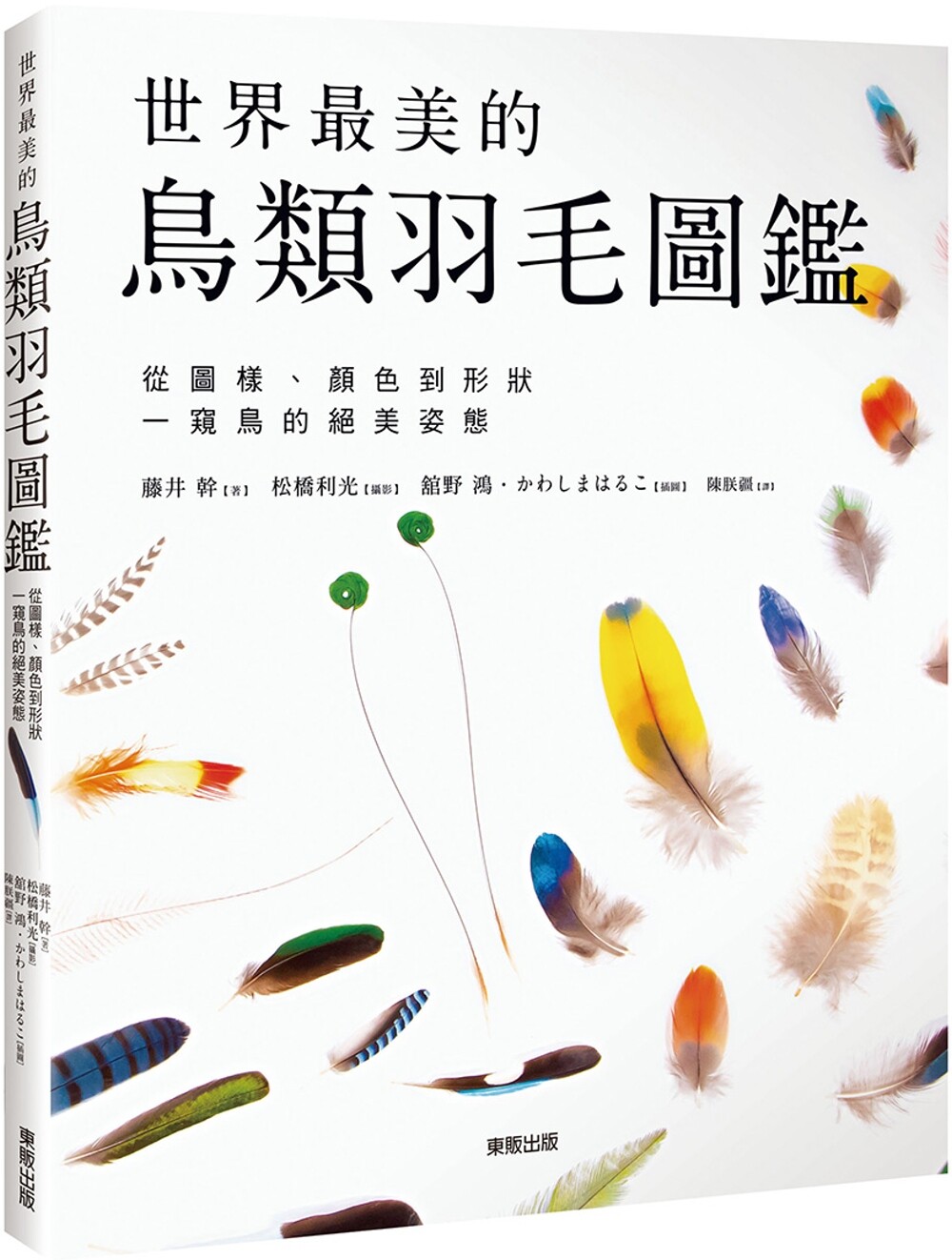 预售 世界*美的鸟类羽毛图鉴：从图样、颜色到形状一窥鸟的绝美姿态 台湾东贩 藤井干