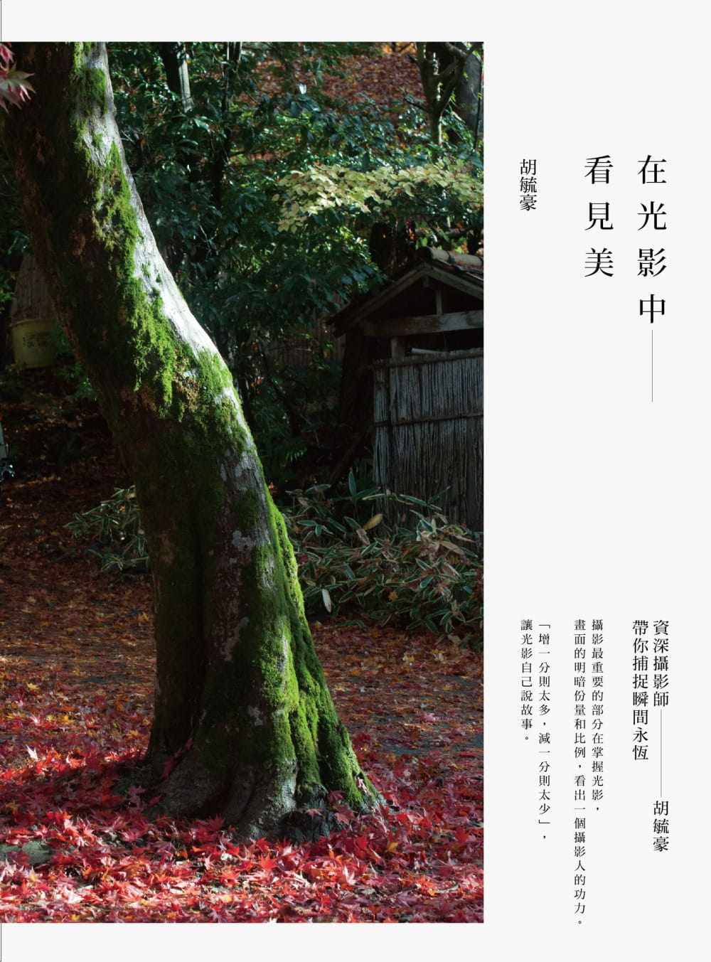 预售 胡毓豪在光影中看见美资深摄影师胡毓豪带你捕捉瞬间永恒时报出版 原版进口书 艺术设计