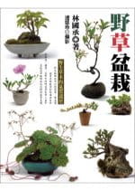 预售 林国承野草盆栽商周出版 原版进口书 生活风格