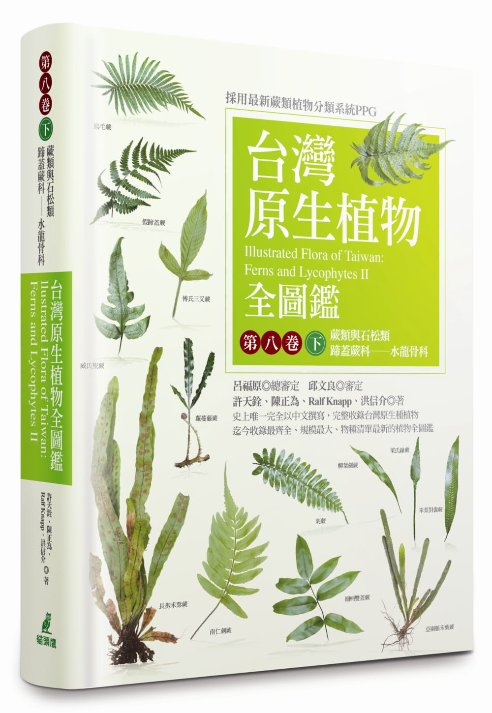 预售 许天铨台湾原生植物全图鉴第八卷(下)：蕨类与石松类 蹄盖蕨科--水龙骨科猫头鹰 自然科普 原版进口书