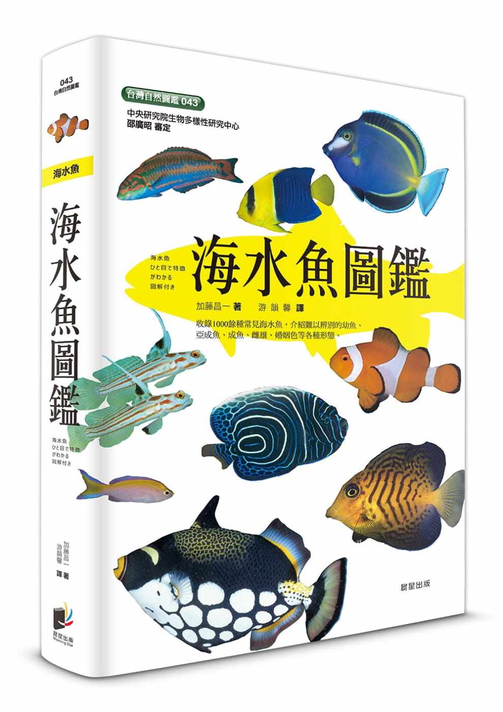预售 加藤昌一海水鱼图鉴晨星 原版进口书 自然科普