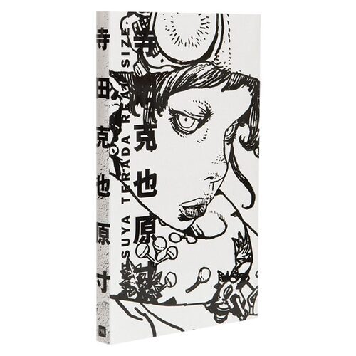 现货 英文原版 手绘插画大师寺田克也原寸绘画作品集 手绘画集画册插画书籍