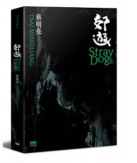 预售 郊游 港台原版 蔡明亮 印刻文学生活杂志出版 电影概念书 多面向梦境的蔓延与透视