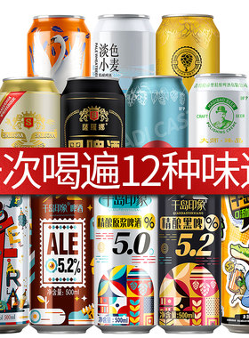 国产精酿啤酒组合装12罐