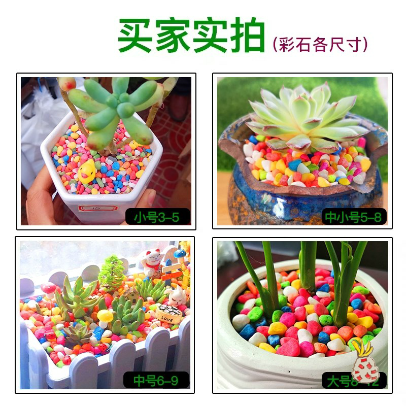 七彩多肉铺面石鱼缸造景