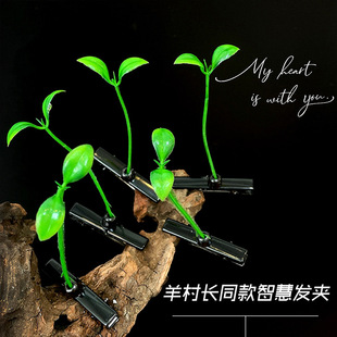 头上长草发夹发饰可爱小豆芽夹子卖萌神器搞怪顶夹仿真植物头花