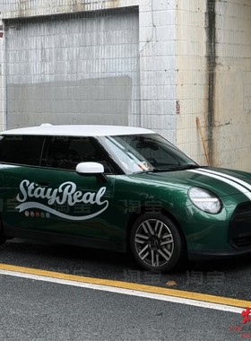 stayreal车贴拉花MINI CooperF56电动 星愿零跑T03卡通车身贴纸