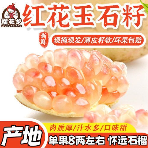 榴花乡怀远石榴颜玉石籽