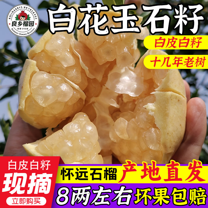 良香怀远石榴白花玉石籽