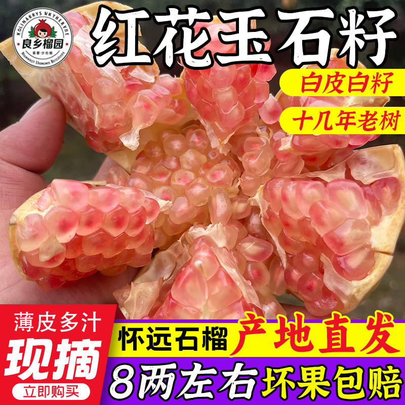 榴花乡怀远石榴红花玉石籽