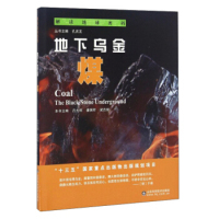 现货包邮 地下乌金：煤 9787533183646 山东科学技术出版社 吕大炜 潘拥军 梁吉坡