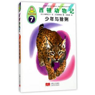 日 包邮 9787510146855 现货 小林清之介 绘画 7少年与猞猁名家名绘版 王维幸 西顿动物记 高桥清 精 译者 中国人口